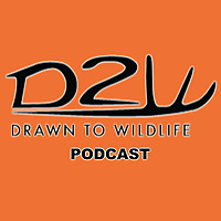 Drawn To Wildlife