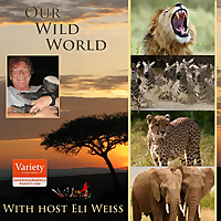Our Wild World