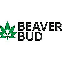Beaver Bud Blog