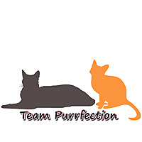 Team Purrfection