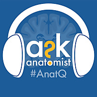 Ask Anatomist