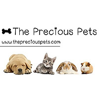 The Precious Pets