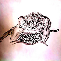 Normal? - Lol (Depersonalization, Derealization, Anxiety)