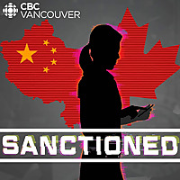 Sanctioned: The Arrest of a Telecom Giant