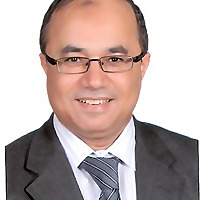 Ahmed AbdelFattah Blog