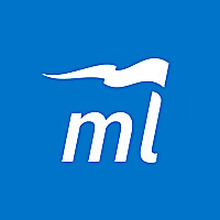 Market Leadership Journal