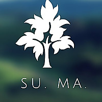 Sustainability Matters