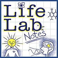 LifeLabNotes
