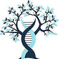 EVEXIAS Medical Centers - Blog