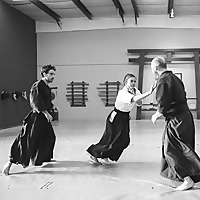 Aikido: Discussed