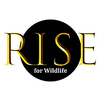 RISE for Wildlife