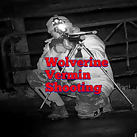 Wolverine vermin shooting