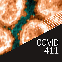 Covid 4 1 1 podcast