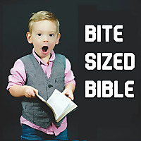 Bite Sized Bible