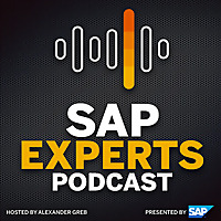 SAP Experts