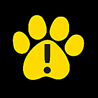Pet Dangers