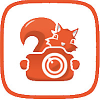 The Travelling Squirrel