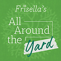 frisellasallaroundtheyard's podcast