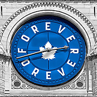 Leafs Forever