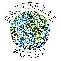 Bacteria World Blog