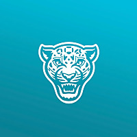 Duval Daily: A Jacksonville Jaguars Podcast