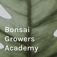 Bonsai Growers Academy