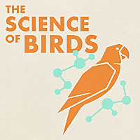 The Science of Birds 
