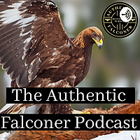 Authentic Falconer Falconry Podcast