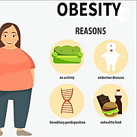 Fighting OBESITY