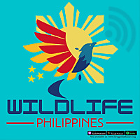 Wildlife Philippines