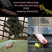 Lovin' Learnin' About Bugs
