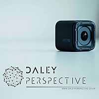 Daley Perspective