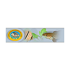 Indian Aquarium Hobbyist