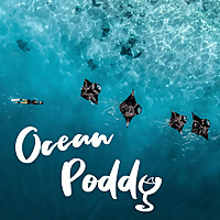 Ocean Poddy