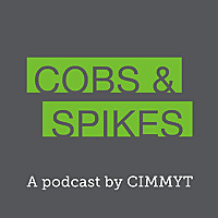 Cobs & Spikes