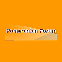 Pomeranian Forum