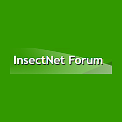 InsectNet Forum