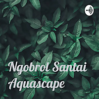 Life.. and Aquascape