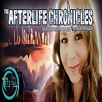 The Afterlife Chronicles and Beyond
