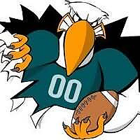 The Birds Blitz