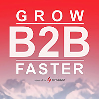 GROW B2B FASTER