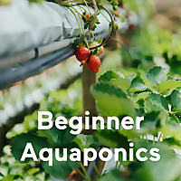 Beginner Aquaponics
