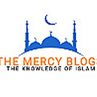 The Mercy Blogs