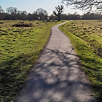 Creator conversations