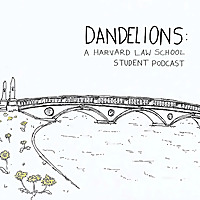 Dandelions: A Harvard Law School Podcast