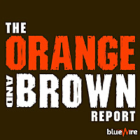 Orange and Brown Report