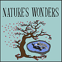 Nature's Wonders