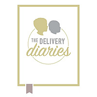 The Delivery Diaries