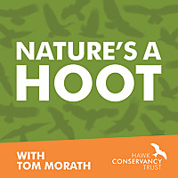 Nature's a Hoot