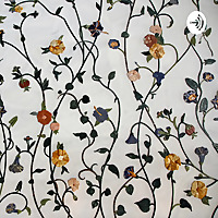 The Science of Lucid Dreams